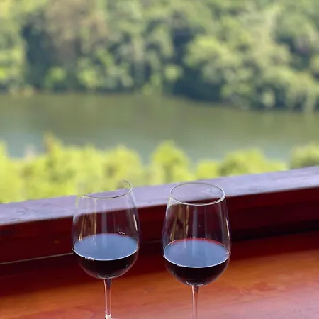Holiday home Pedra Douro *